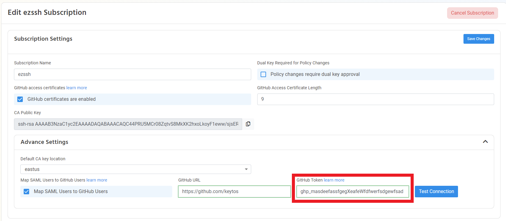 Paste your GitHub Token