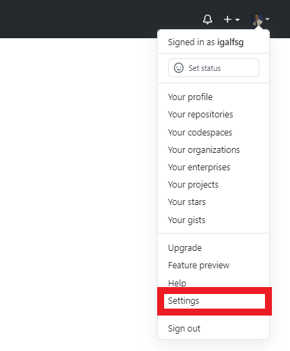 Git Hub Settings